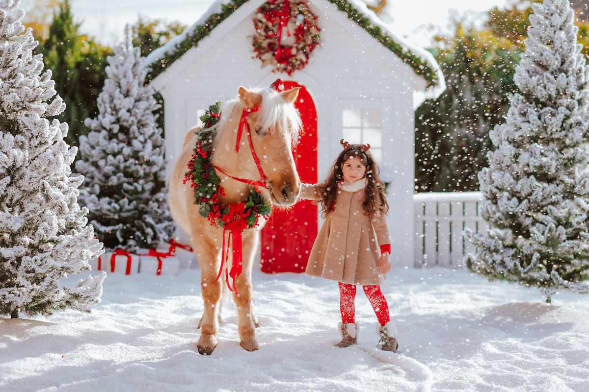 Girl with a pony horse in Christmas scenery